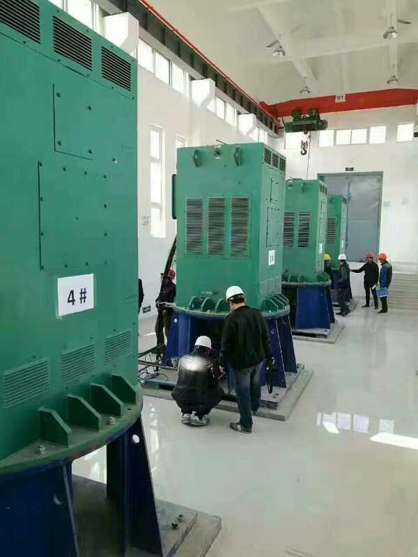 高埗镇某污水处理厂使用我厂的立式高压电机安装现场